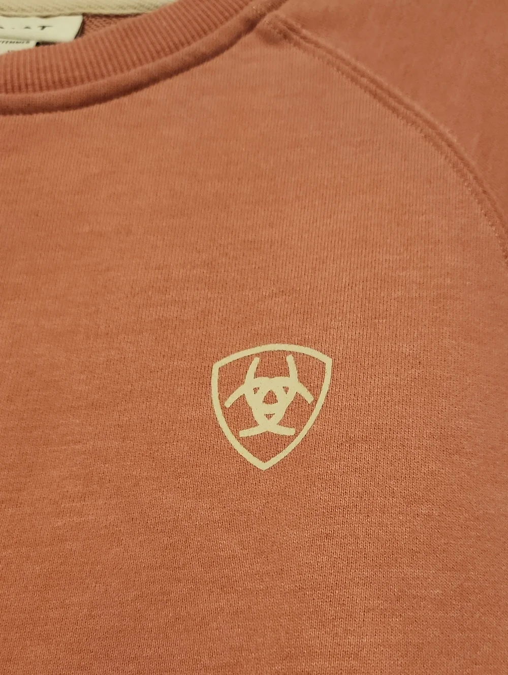 Ariat Women’s Crewneck Logo Sweatershirt in Dusty Rose - Picture 4 of 12